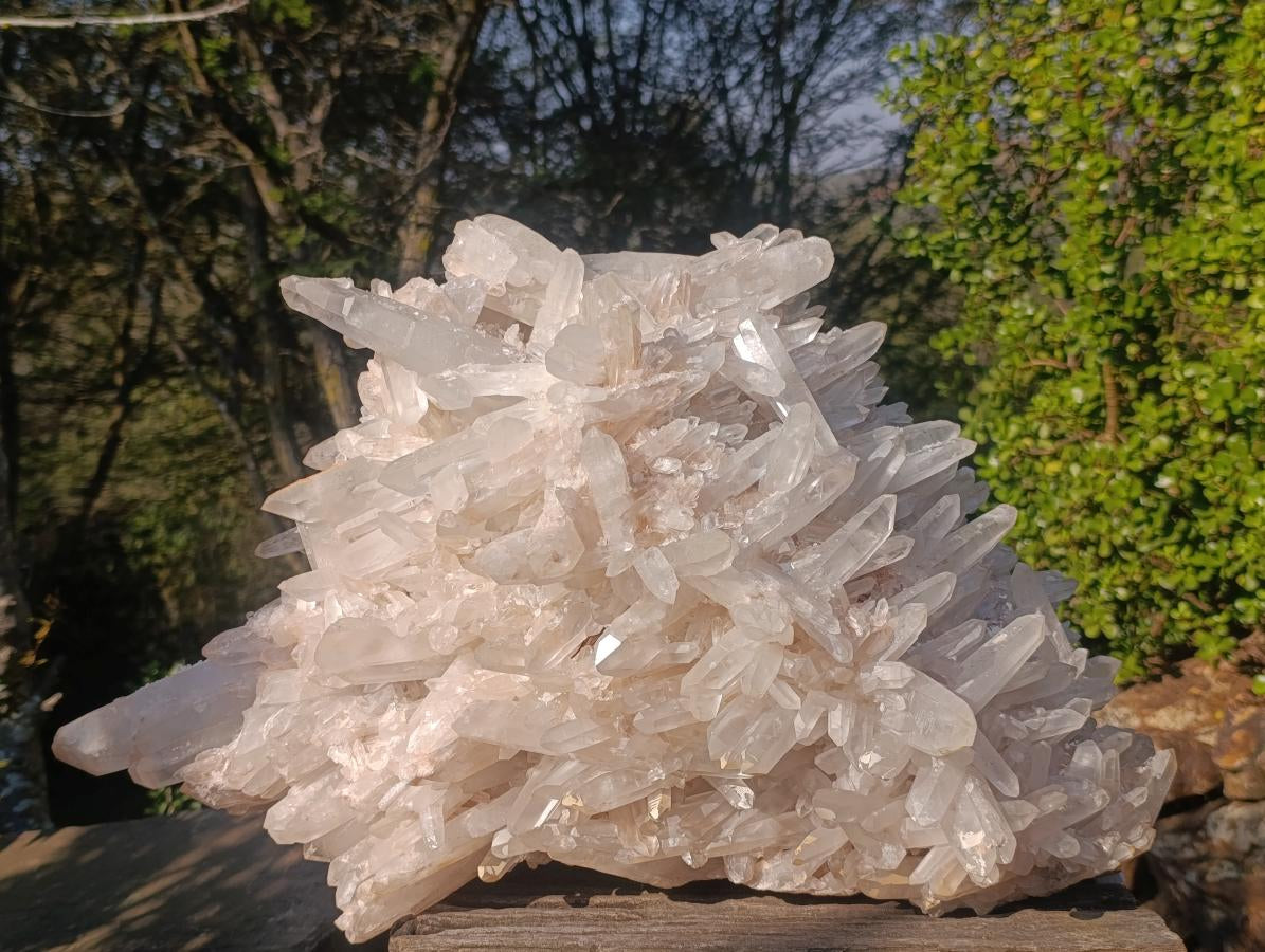Natural XL Clear Quartz Crystal Cluster x 1 From Madagascar - Toprock Gemstones and Minerals 