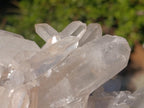Natural XL Clear Quartz Crystal Cluster x 1 From Madagascar - Toprock Gemstones and Minerals 