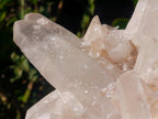 Natural XL Clear Quartz Crystal Cluster x 1 From Madagascar - Toprock Gemstones and Minerals 