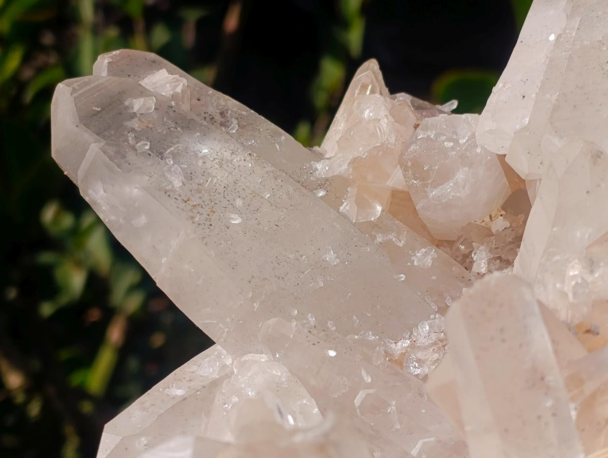 Natural XL Clear Quartz Crystal Cluster x 1 From Madagascar - Toprock Gemstones and Minerals 