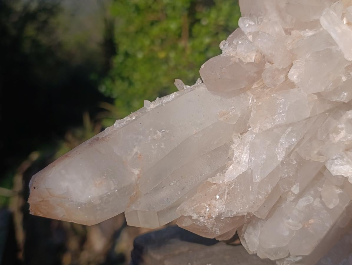 Natural XL Clear Quartz Crystal Cluster x 1 From Madagascar - Toprock Gemstones and Minerals 