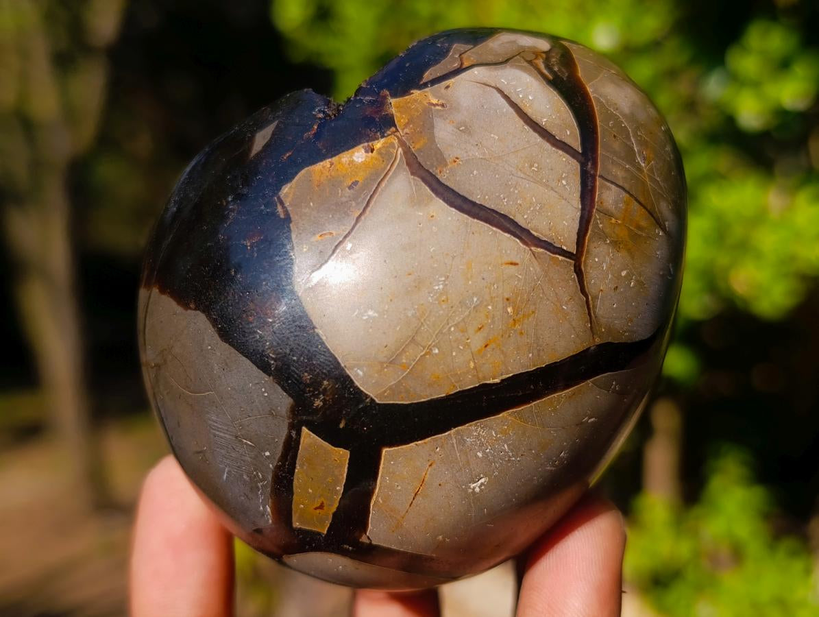 Polished Septerye Sauvage "Dragons Egg" Geodes x 2 From Mahajanga, Madagascar - Toprock Gemstones and Minerals 