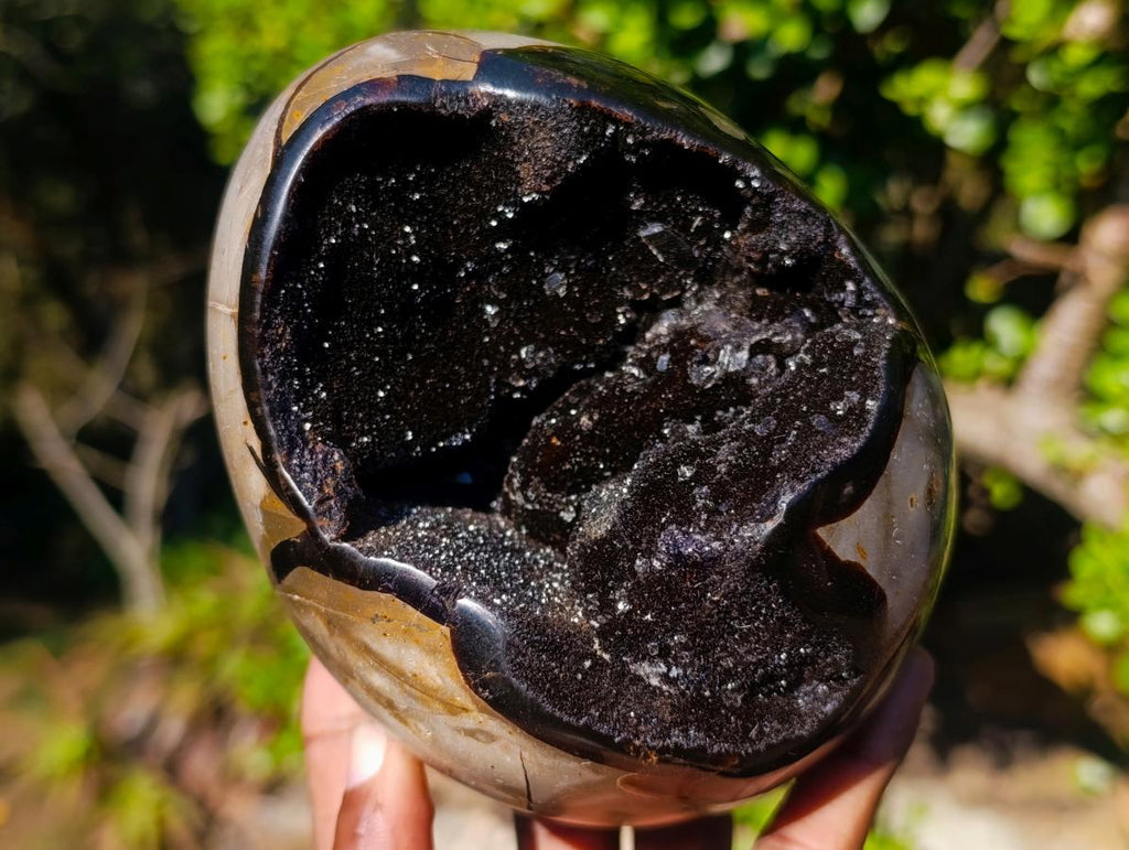 Polished Septerye Sauvage "Dragons Egg" Geodes x 2 From Mahajanga, Madagascar - Toprock Gemstones and Minerals 