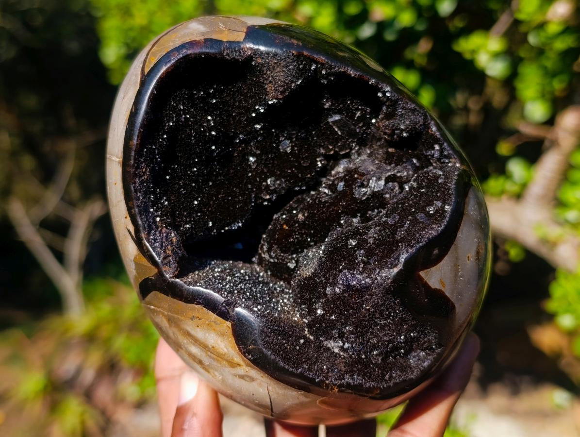 Polished Septerye Sauvage "Dragons Egg" Geodes x 2 From Mahajanga, Madagascar - Toprock Gemstones and Minerals 
