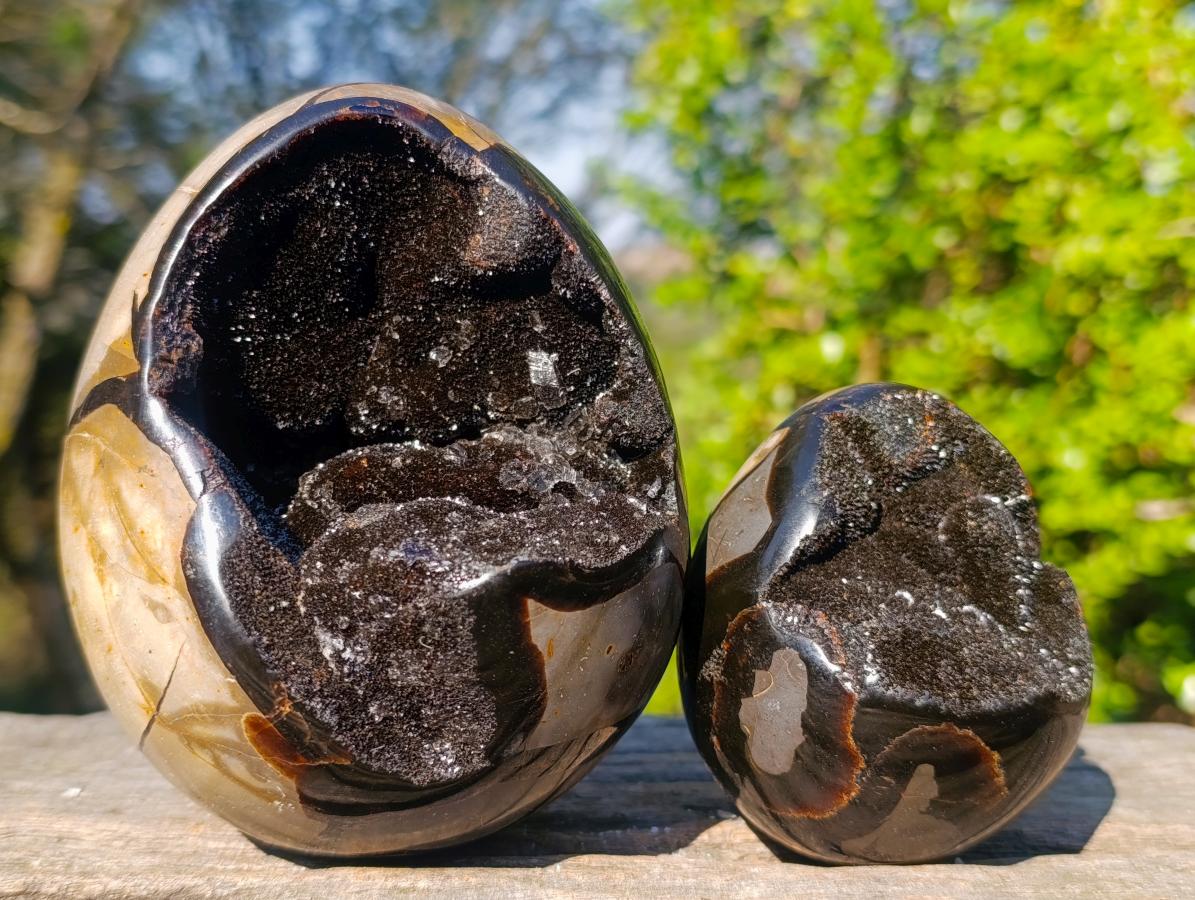 Polished Septerye Sauvage "Dragons Egg" Geodes x 2 From Mahajanga, Madagascar - Toprock Gemstones and Minerals 
