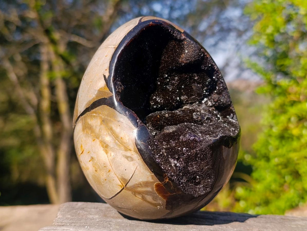 Polished Septerye Sauvage "Dragons Egg" Geodes x 2 From Mahajanga, Madagascar - Toprock Gemstones and Minerals 