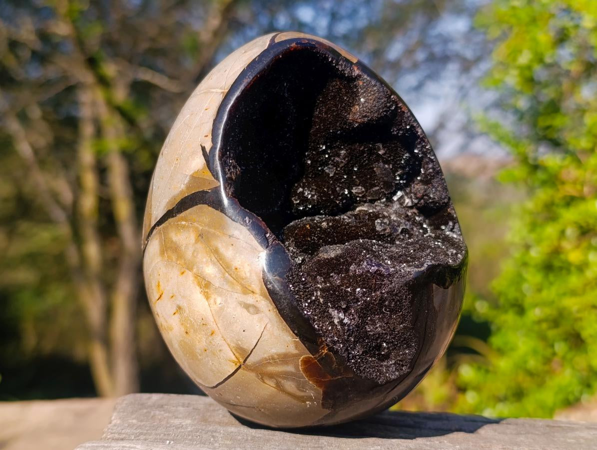 Polished Septerye Sauvage "Dragons Egg" Geodes x 2 From Mahajanga, Madagascar - Toprock Gemstones and Minerals 