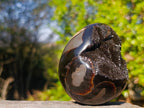 Polished Septerye Sauvage "Dragons Egg" Geodes x 2 From Mahajanga, Madagascar - Toprock Gemstones and Minerals 