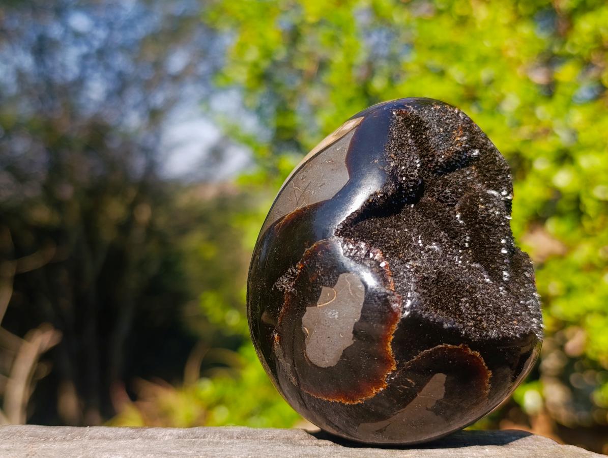 Polished Septerye Sauvage "Dragons Egg" Geodes x 2 From Mahajanga, Madagascar - Toprock Gemstones and Minerals 
