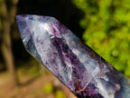 Polished Watermelon Fluorite Display Crystals x 3 From Uis, Namibia - Toprock Gemstones and Minerals 