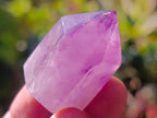 Polished Mini Window Amethyst Crystals x 35 From Akansobe, Madagascar - Toprock Gemstones and Minerals 