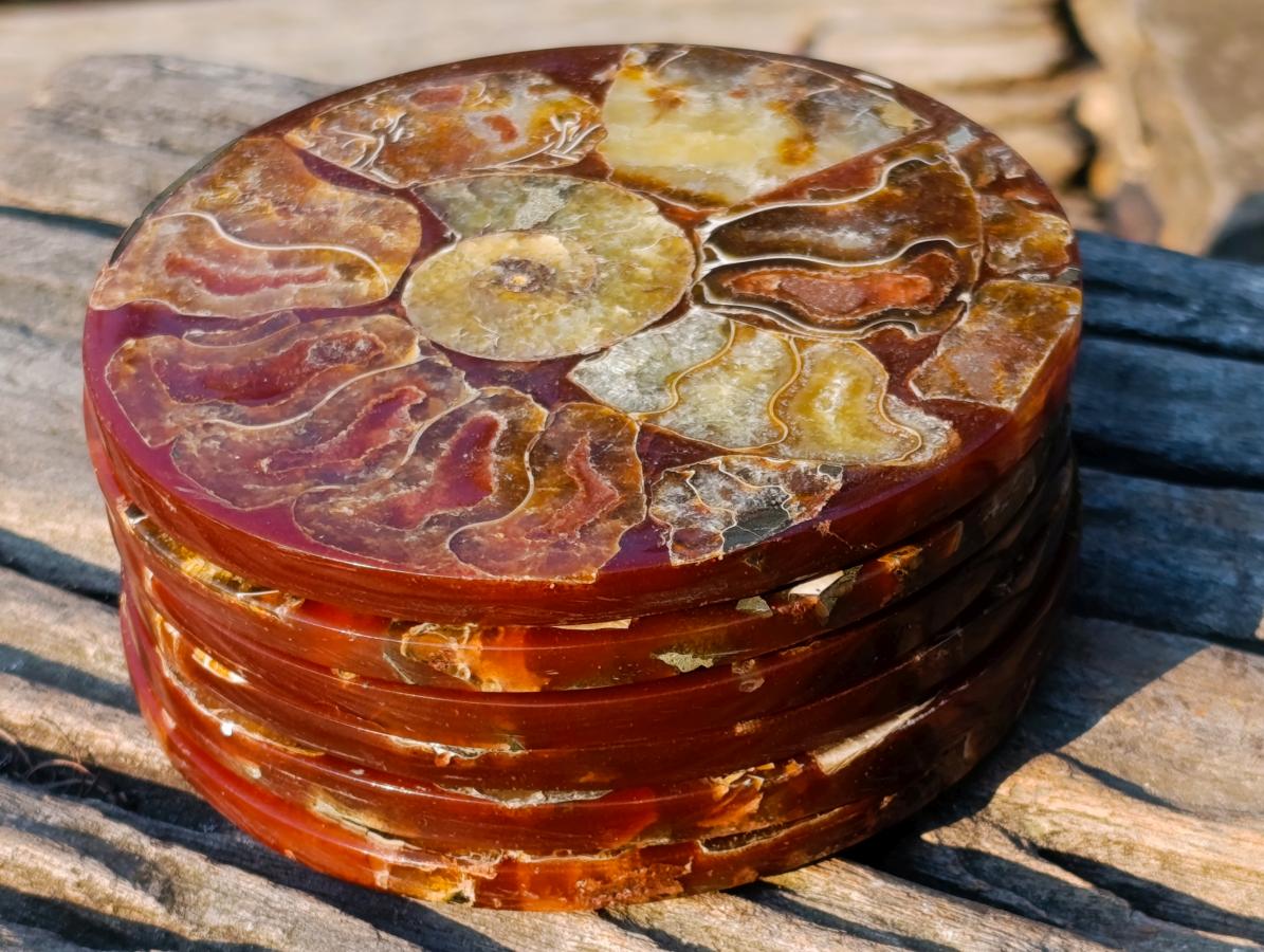 Hand Made Ammonite Conglomerate Coffee Table Coasters x 6 From Mahajanga, Madagascar - Toprock Gemstones and Minerals 