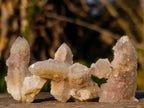 Natural Drusy Fairy Spirit Quartz Crystals x 70 From Boekenhouthoek, South Africa - Toprock Gemstones and Minerals 