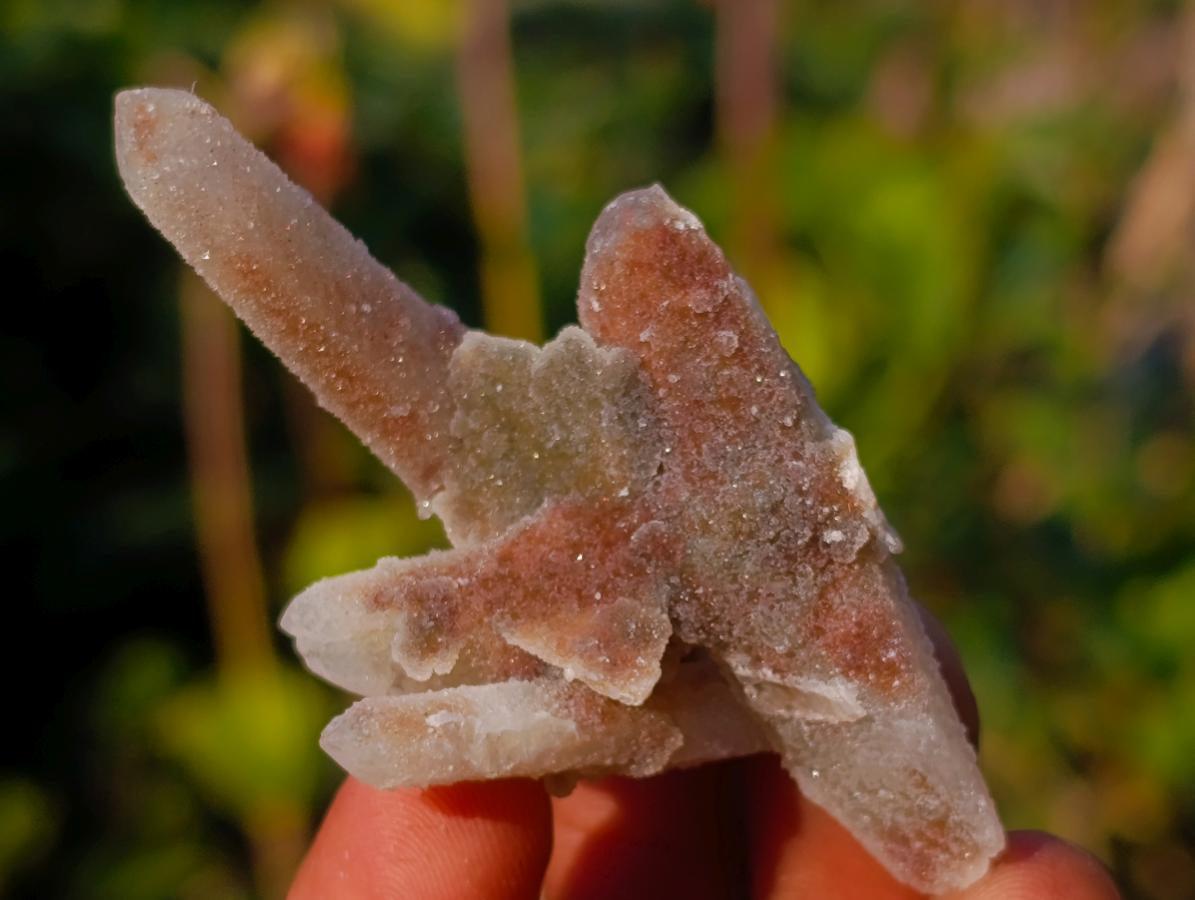 Natural Drusy Fairy Spirit Quartz Crystals x 70 From Boekenhouthoek, South Africa - Toprock Gemstones and Minerals 