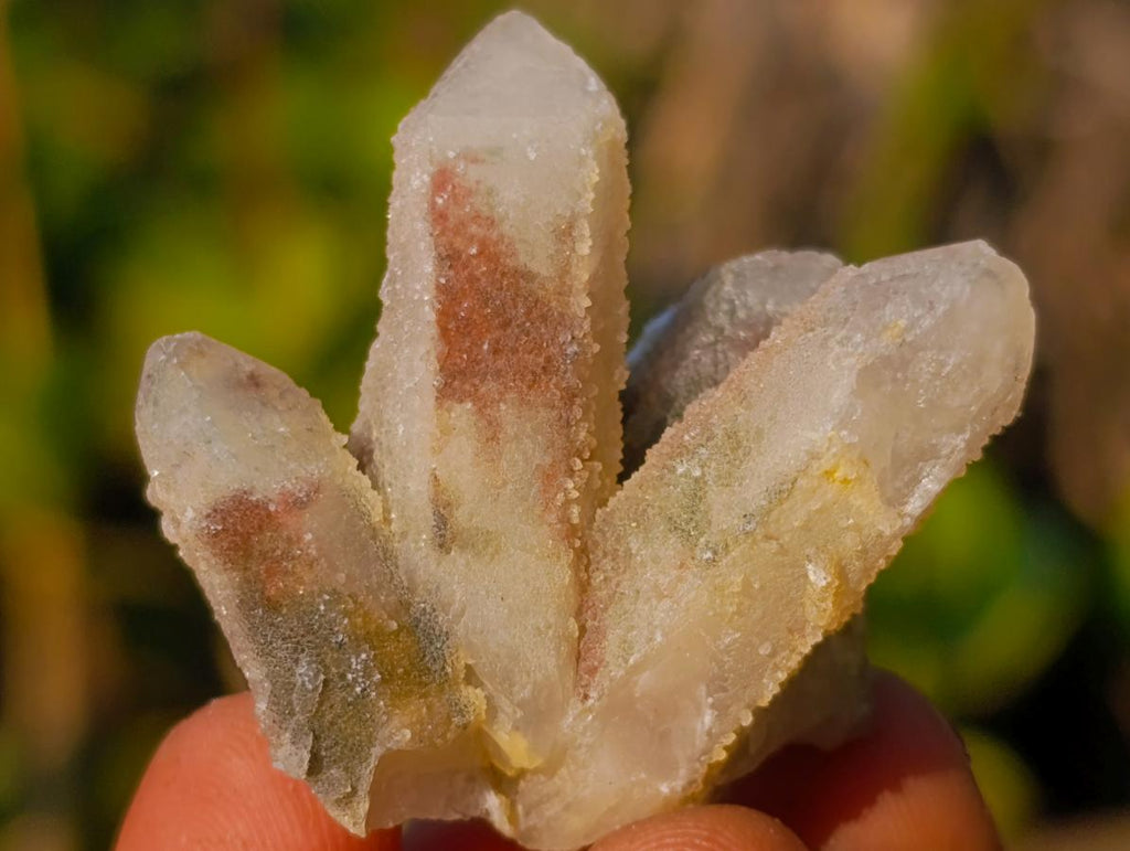 Natural Drusy Fairy Spirit Quartz Crystals x 70 From Boekenhouthoek, South Africa - Toprock Gemstones and Minerals 
