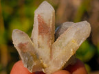 Natural Drusy Fairy Spirit Quartz Crystals x 70 From Boekenhouthoek, South Africa - Toprock Gemstones and Minerals 