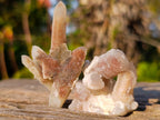Natural Drusy Fairy Spirit Quartz Crystals x 70 From Boekenhouthoek, South Africa - Toprock Gemstones and Minerals 