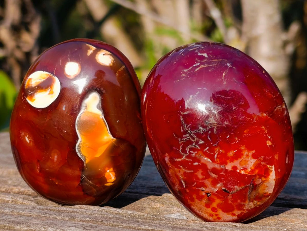 Polished Large Carnelian Agate Gemstone Galets x 12 From Madagascar - Toprock Gemstones and Minerals 