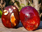 Polished Large Carnelian Agate Gemstone Galets x 12 From Madagascar - Toprock Gemstones and Minerals 