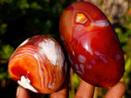 Polished Large Carnelian Agate Gemstone Galets x 12 From Madagascar - Toprock Gemstones and Minerals 