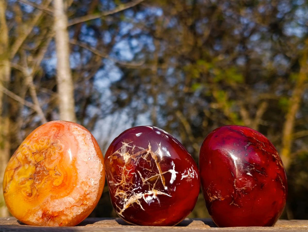 Polished Large Carnelian Agate Gemstone Galets x 12 From Madagascar - Toprock Gemstones and Minerals 
