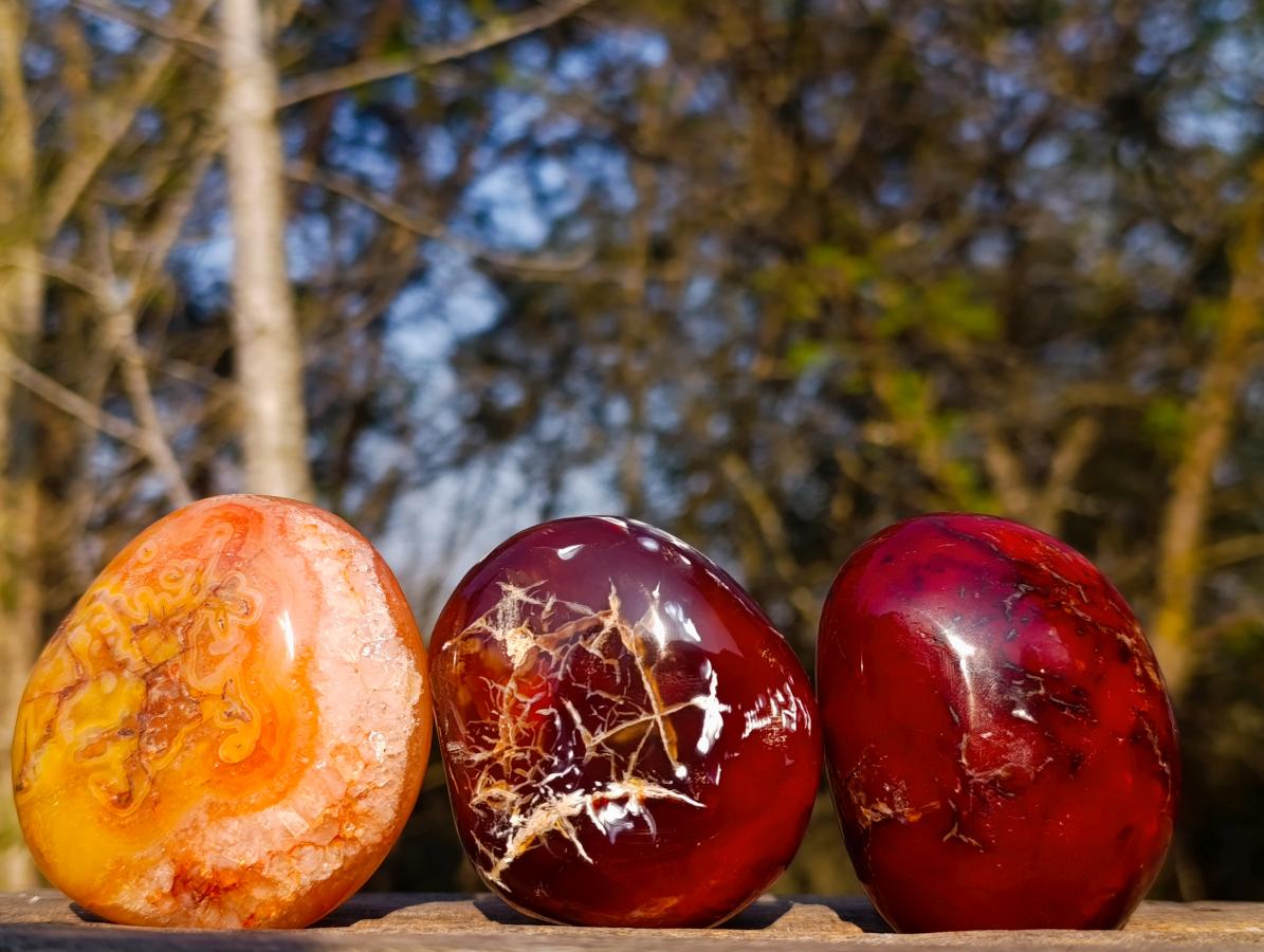 Polished Large Carnelian Agate Gemstone Galets x 12 From Madagascar - Toprock Gemstones and Minerals 