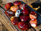 Polished Large Carnelian Agate Gemstone Galets x 12 From Madagascar - Toprock Gemstones and Minerals 