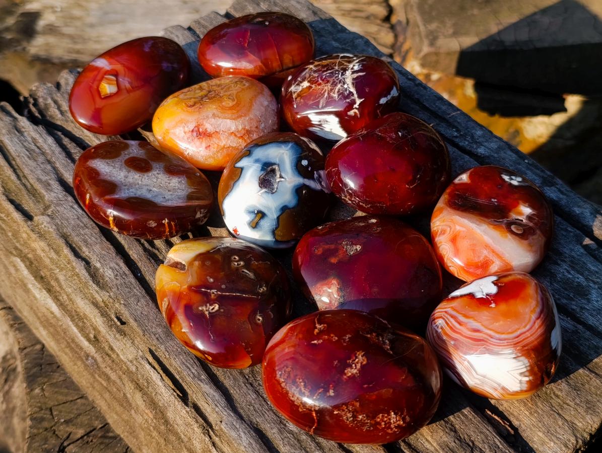 Polished Large Carnelian Agate Gemstone Galets x 12 From Madagascar - Toprock Gemstones and Minerals 