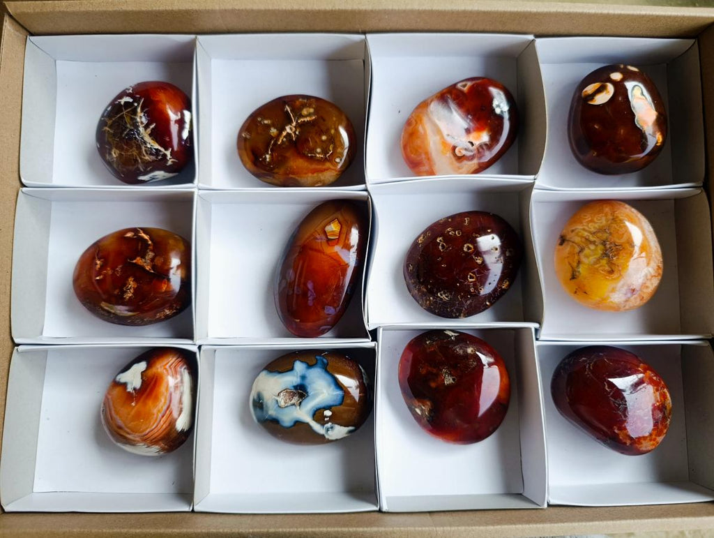 Polished Large Carnelian Agate Gemstone Galets x 12 From Madagascar - Toprock Gemstones and Minerals 