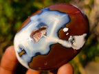 Polished Large Carnelian Agate Gemstone Galets x 12 From Madagascar - Toprock Gemstones and Minerals 