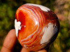 Polished Large Carnelian Agate Gemstone Galets x 12 From Madagascar - Toprock Gemstones and Minerals 