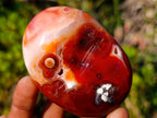 Polished Large Carnelian Agate Gemstone Galets x 12 From Madagascar - Toprock Gemstones and Minerals 