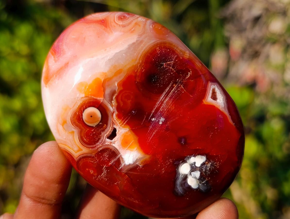 Polished Large Carnelian Agate Gemstone Galets x 12 From Madagascar - Toprock Gemstones and Minerals 