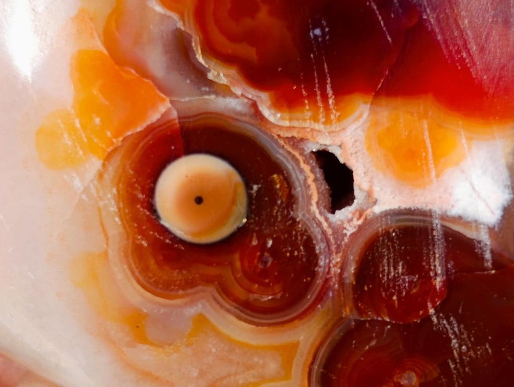 Polished Large Carnelian Agate Gemstone Galets x 12 From Madagascar - Toprock Gemstones and Minerals 