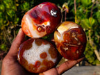 Polished Large Carnelian Agate Gemstone Galets x 12 From Madagascar - Toprock Gemstones and Minerals 