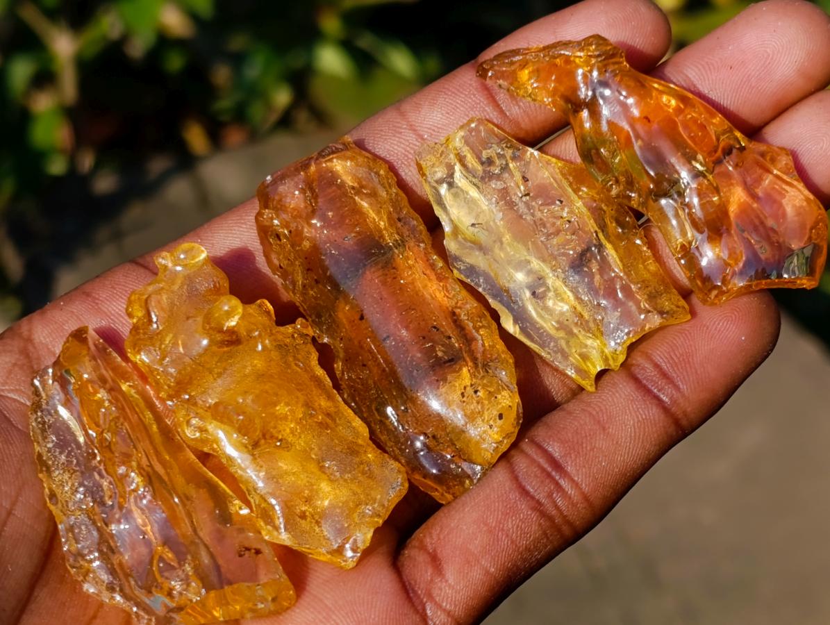 Natural Copal Amber Specimens with Insect and Plant Inclusions x 35 From Lemur Island, Madagascar - Toprock Gemstones and Minerals 