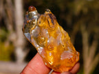 Natural Copal Amber Specimens with Insect and Plant Inclusions x 35 From Lemur Island, Madagascar - Toprock Gemstones and Minerals 