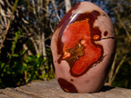 Polished Large Polychrome Jasper Standing Display Pieces x 2 From NW Coast, Madagascar - Toprock Gemstones and Minerals 