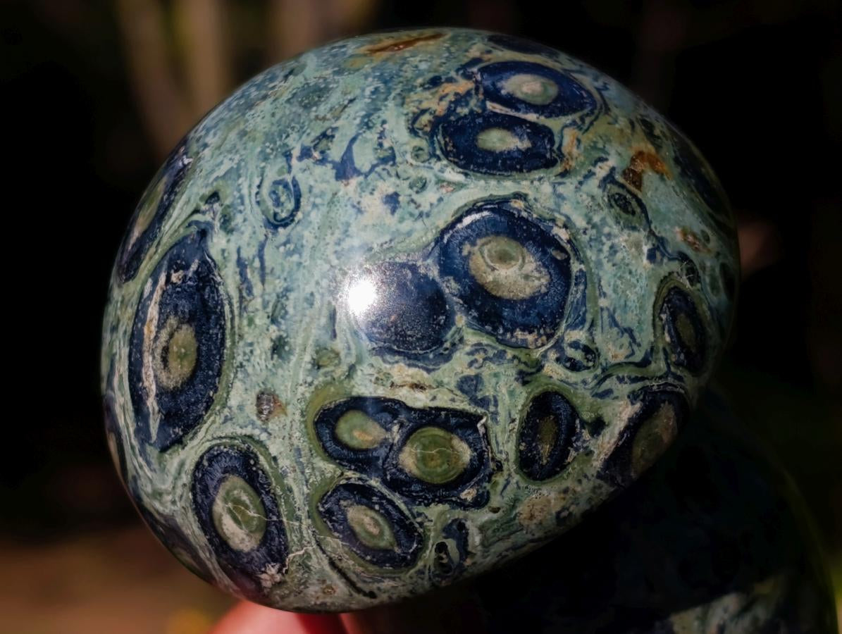 Polished Large Stromatolite Mushrooms x 6 From Katsepy, Madagascar - Toprock Gemstones and Minerals 