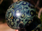 Polished Large Stromatolite Mushrooms x 6 From Katsepy, Madagascar - Toprock Gemstones and Minerals 