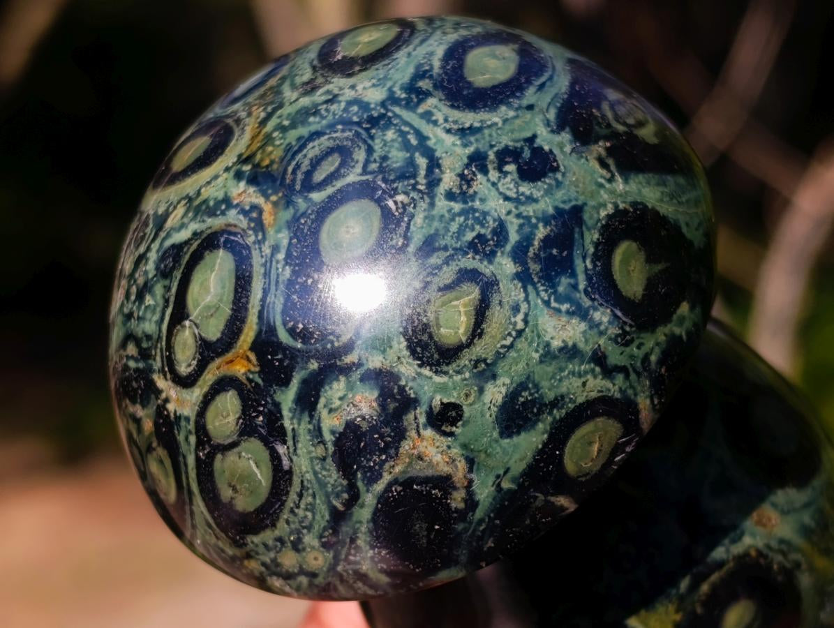 Polished Large Stromatolite Mushrooms x 6 From Katsepy, Madagascar - Toprock Gemstones and Minerals 