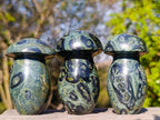 Polished Large Stromatolite Mushrooms x 6 From Katsepy, Madagascar - Toprock Gemstones and Minerals 