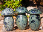 Polished Large Stromatolite Mushrooms x 6 From Katsepy, Madagascar - Toprock Gemstones and Minerals 