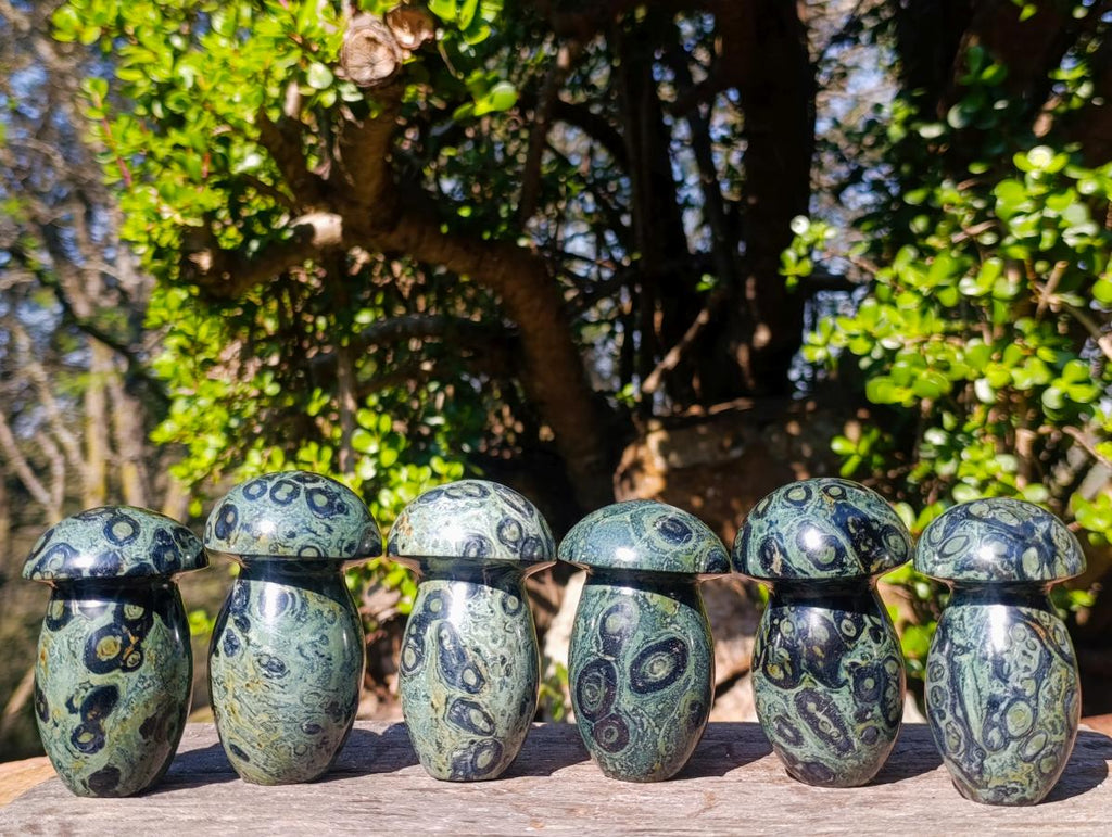 Polished Large Stromatolite Mushrooms x 6 From Katsepy, Madagascar - Toprock Gemstones and Minerals 