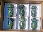 Polished Large Stromatolite Mushrooms x 6 From Katsepy, Madagascar - Toprock Gemstones and Minerals 