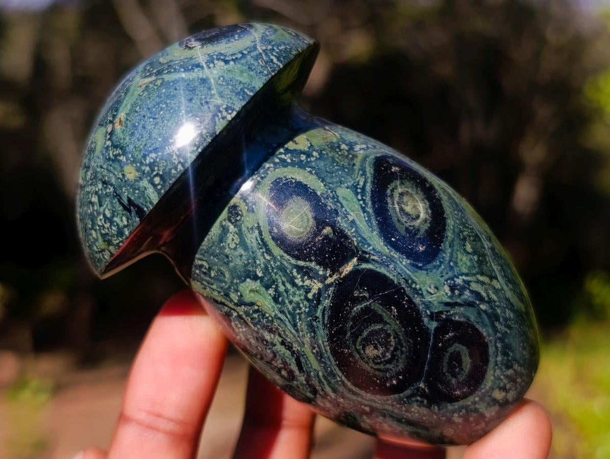 Polished Large Stromatolite Mushrooms x 6 From Katsepy, Madagascar - Toprock Gemstones and Minerals 