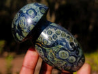 Polished Large Stromatolite Mushrooms x 6 From Katsepy, Madagascar - Toprock Gemstones and Minerals 