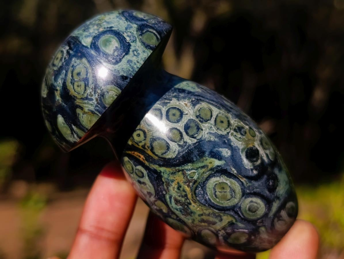 Polished Large Stromatolite Mushrooms x 6 From Katsepy, Madagascar - Toprock Gemstones and Minerals 