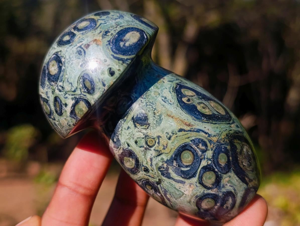 Polished Large Stromatolite Mushrooms x 6 From Katsepy, Madagascar - Toprock Gemstones and Minerals 