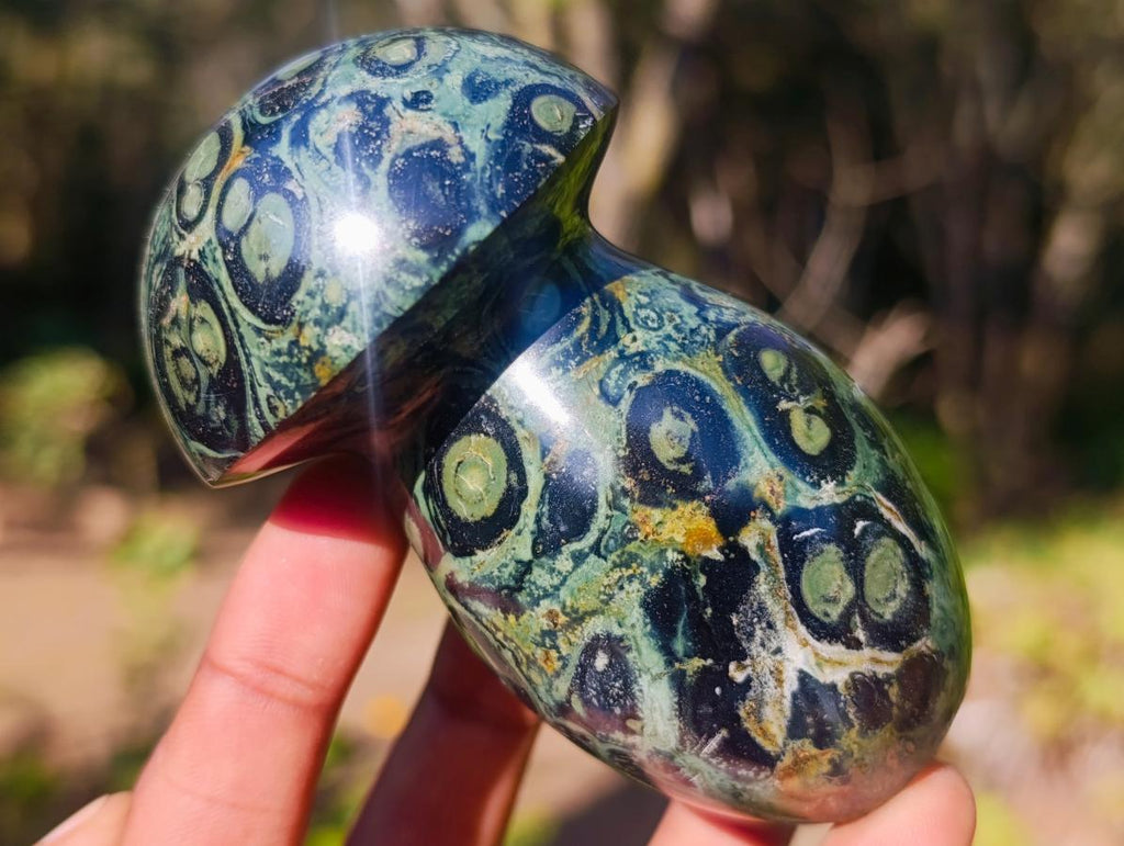 Polished Large Stromatolite Mushrooms x 6 From Katsepy, Madagascar - Toprock Gemstones and Minerals 
